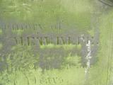 image of grave number 268174